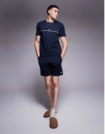 Unique stripe logo t-shirt regular fit in navy